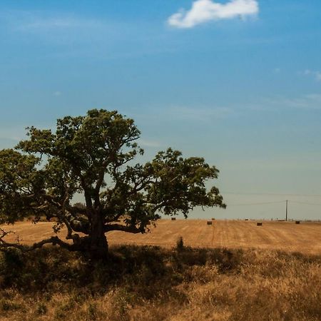 Pensjonat Vales Do Alentejo Bicos Zewnętrze zdjęcie